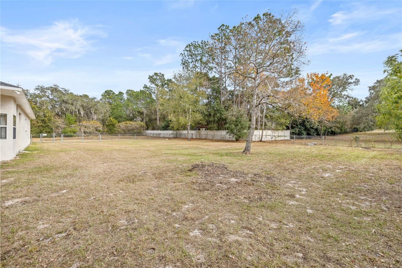 13186 Coronado Drive, Spring Hill, FL 34609 Photo