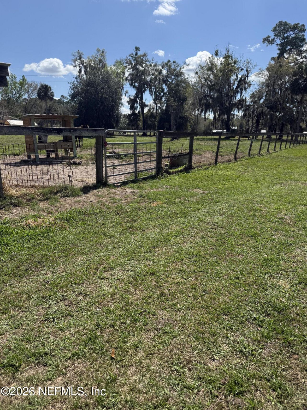 986 State Road 20, Interlachen, FL 32148 Photo