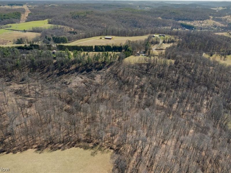 Boy Scout Road NE, Dover, OH 44622 Photo 6