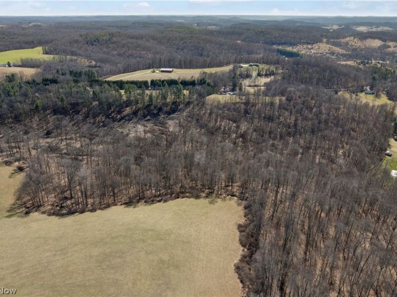 Boy Scout Road NE, Dover, OH 44622 Photo 7