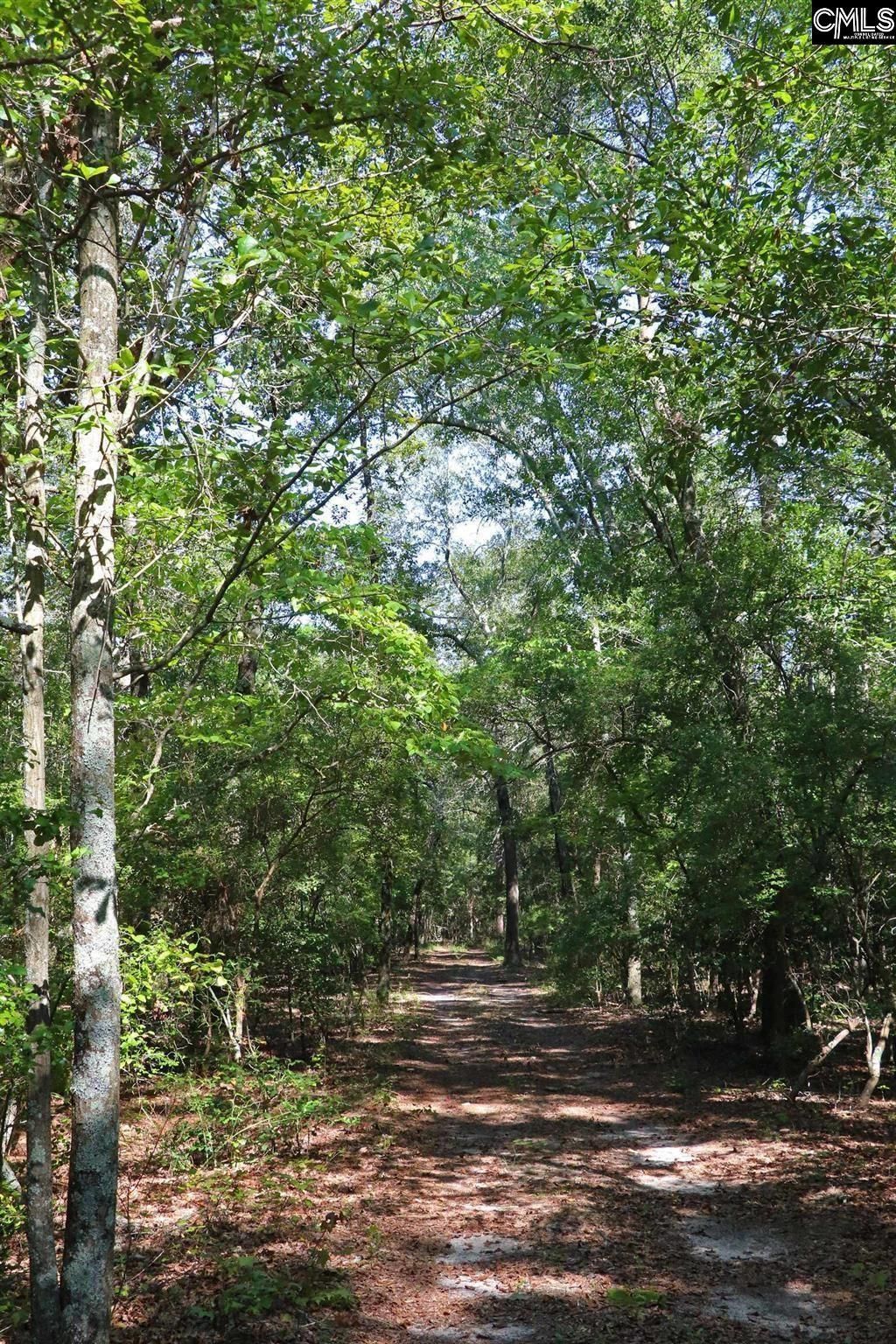 Bubba Gunter Road Photo 10