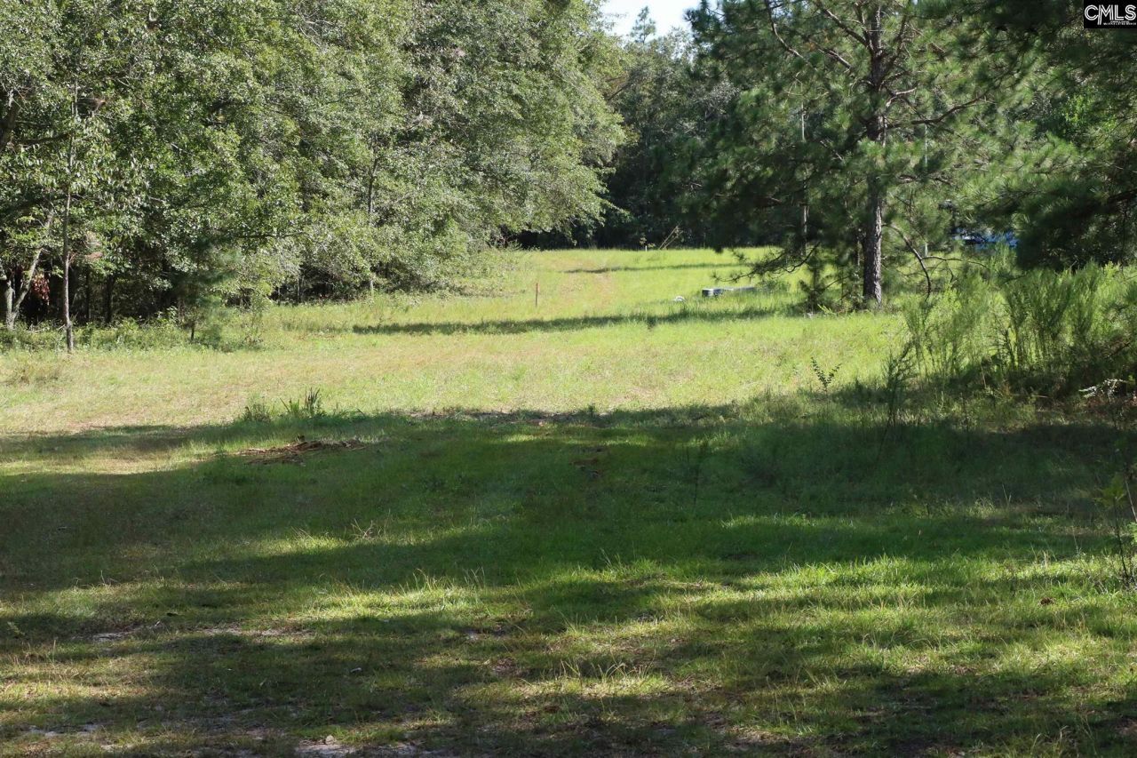 Bubba Gunter Road Photo 11