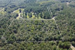 Bubba Gunter Road photo 4