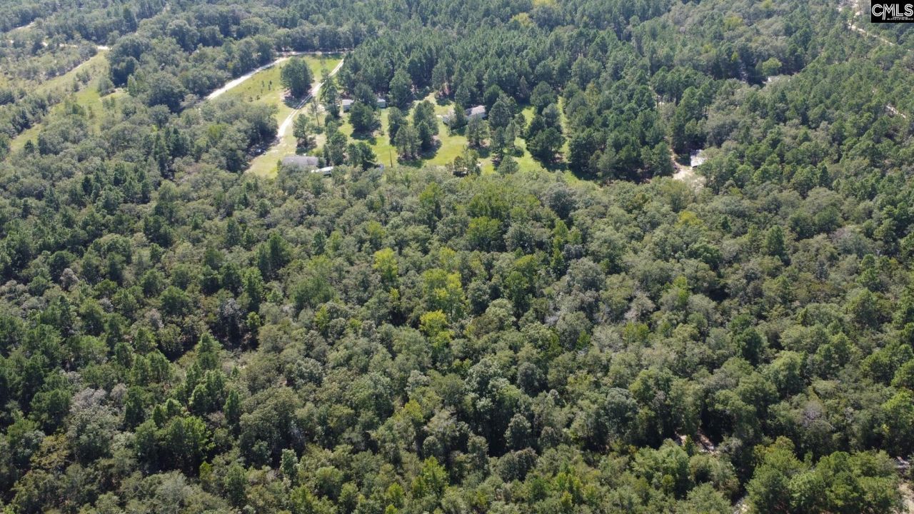 Bubba Gunter Road Photo 4