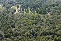 Bubba Gunter Road photo 4