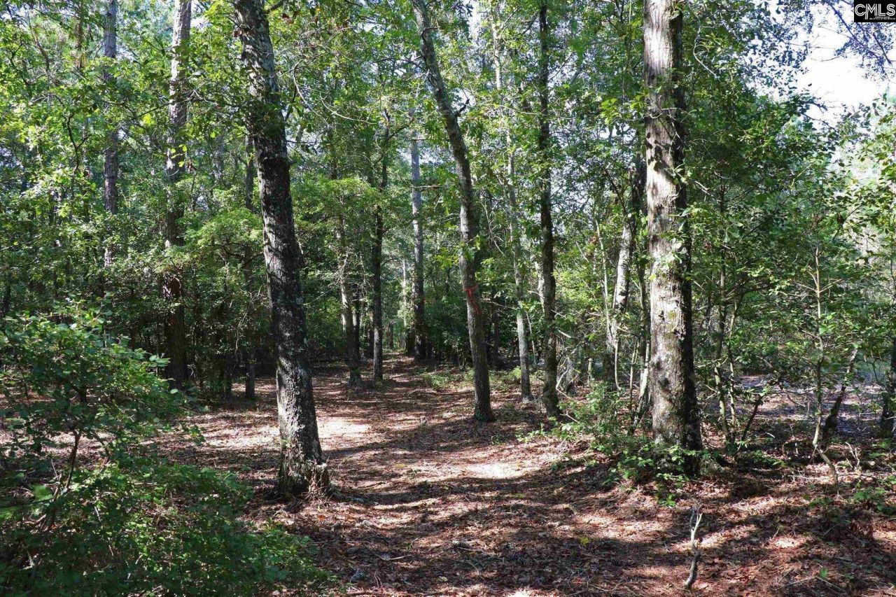 Bubba Gunter Road Photo 6