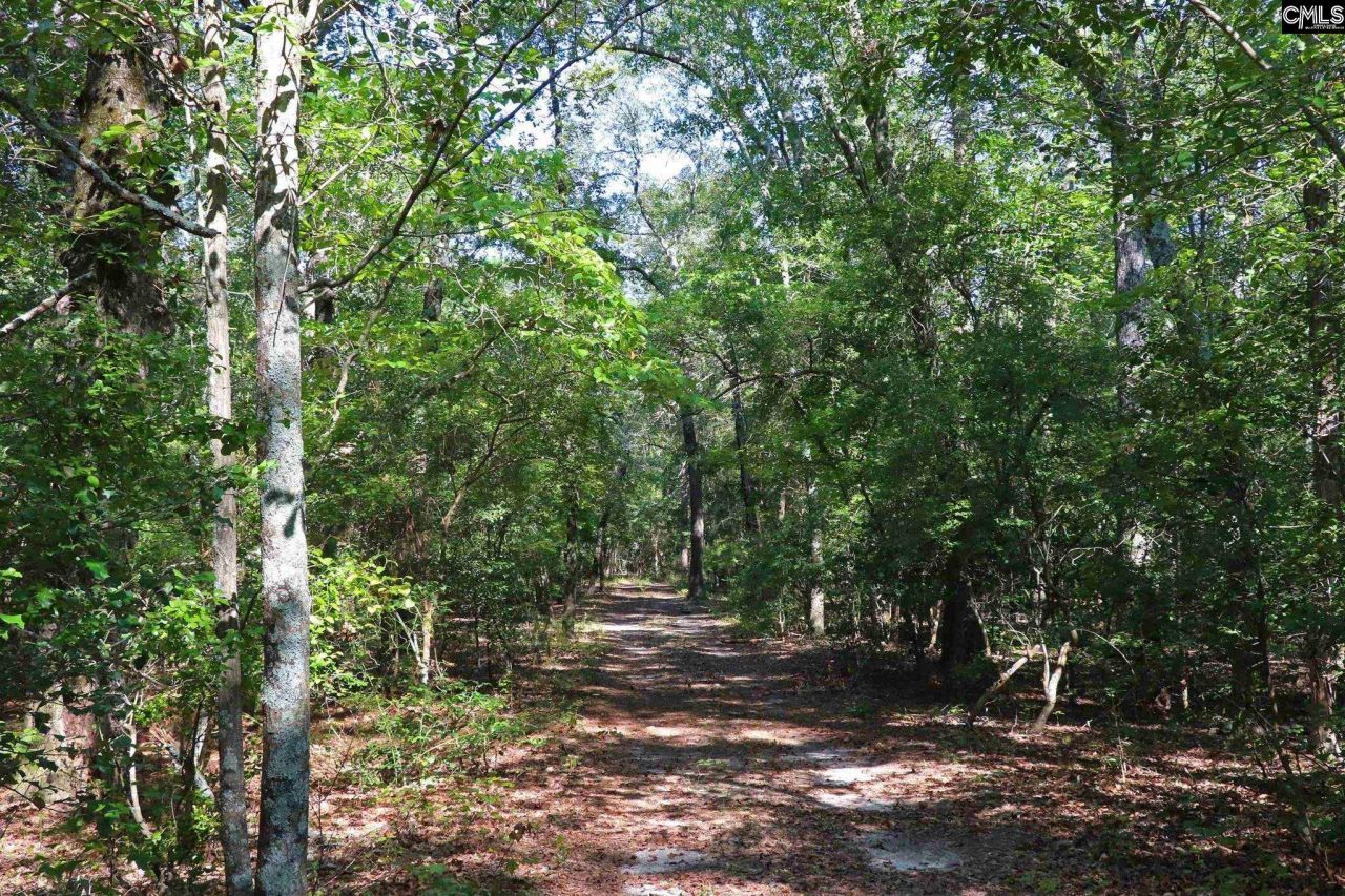 Bubba Gunter Road Photo 7