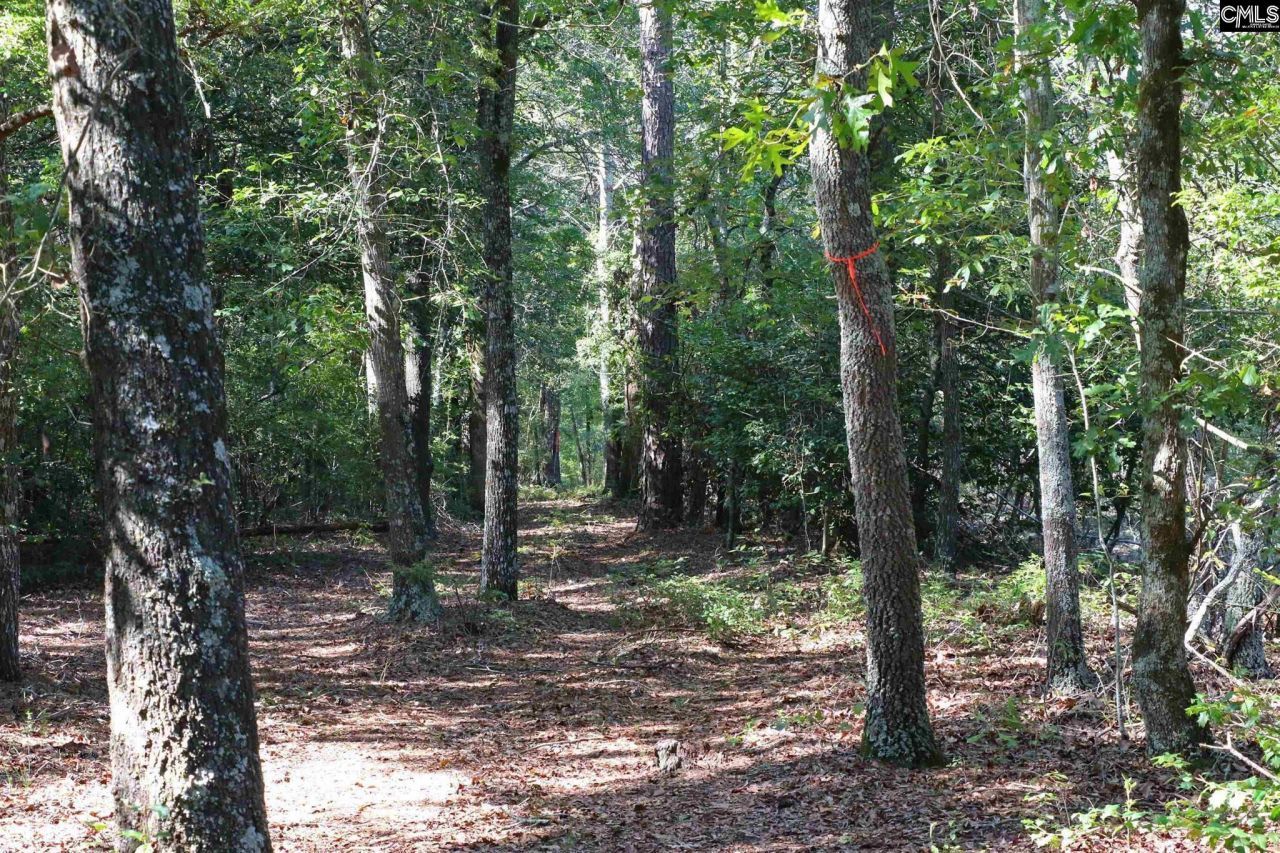 Bubba Gunter Road Photo 8