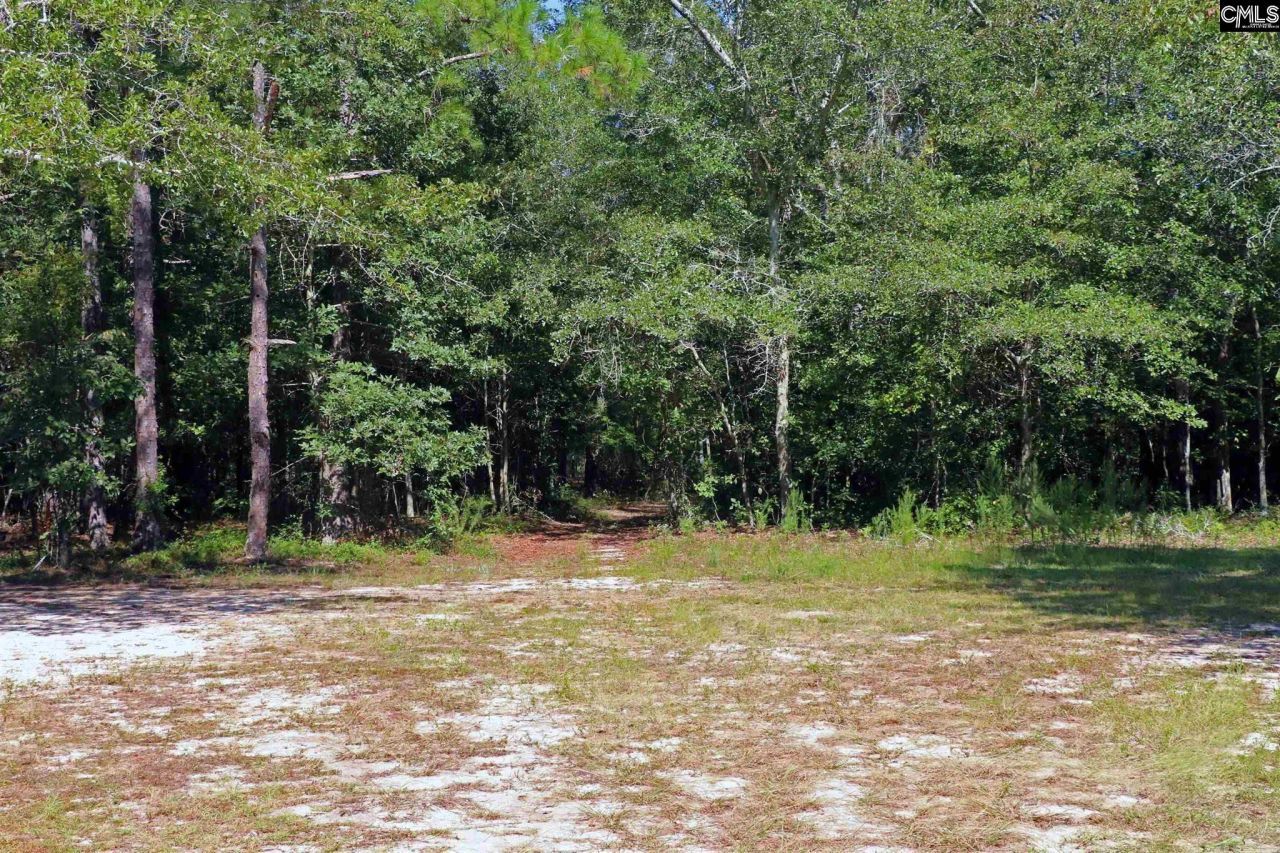 Bubba Gunter Road Photo 9