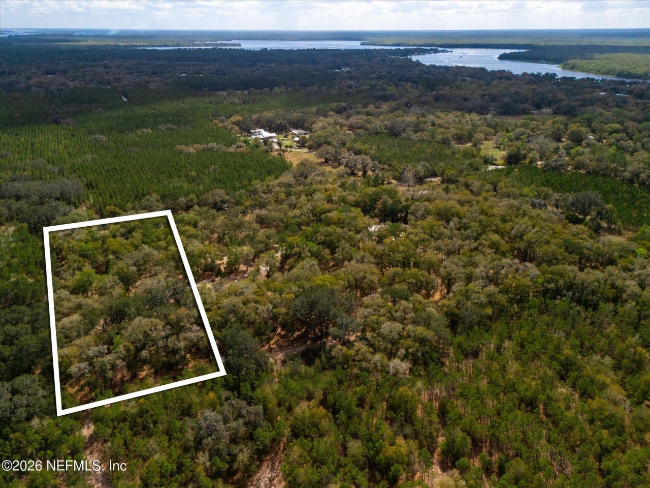 Tbd Old Welaka (parcel A) Road, Welaka, FL 32193 Photo