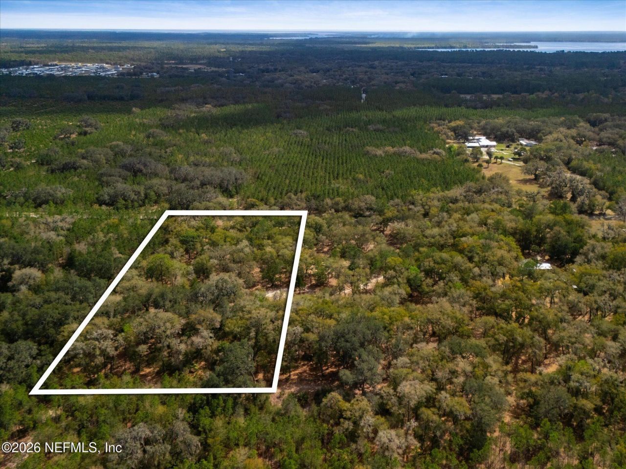 Tbd Old Welaka (parcel A) Road, Welaka, FL 32193 Photo