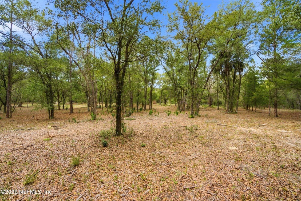 Tbd Old Welaka (parcel A) Road, Welaka, FL 32193 Photo