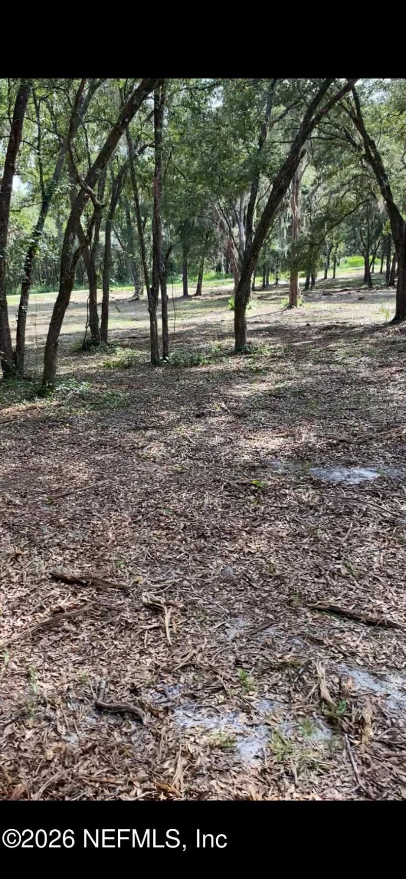 Tbd Old Welaka (parcel A) Road, Welaka, FL 32193 Photo