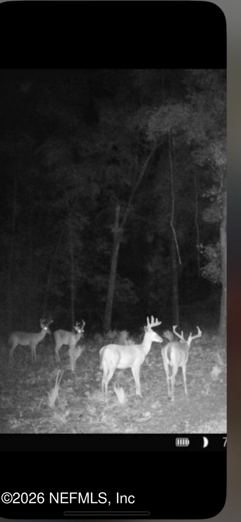 Tbd Old Welaka (parcel A) Road, Welaka, FL 32193 Photo