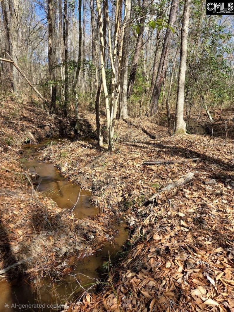 1354 Horsehead Road Photo 47