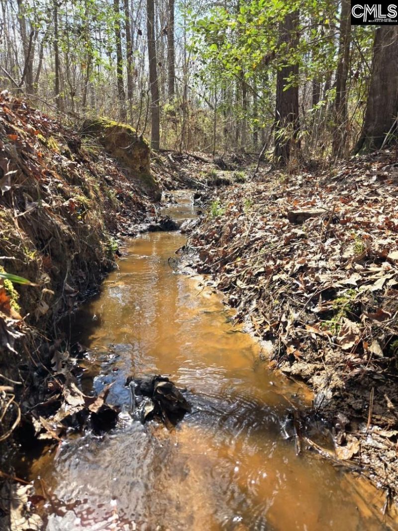 1354 Horsehead Road Photo 48