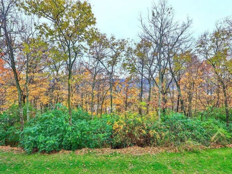 2329 Piazza Ridge, Covington, KY 41017 Photo 31