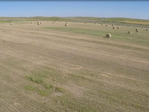 295 Avenue & 247 Street, Vivian, SD 57576