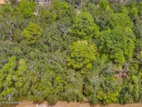 3366 N ANNAPOLIS AVENUE , HERNANDO, FL 34442