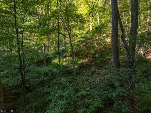 0 Sweet Hollow Road, Holland, NJ 08848