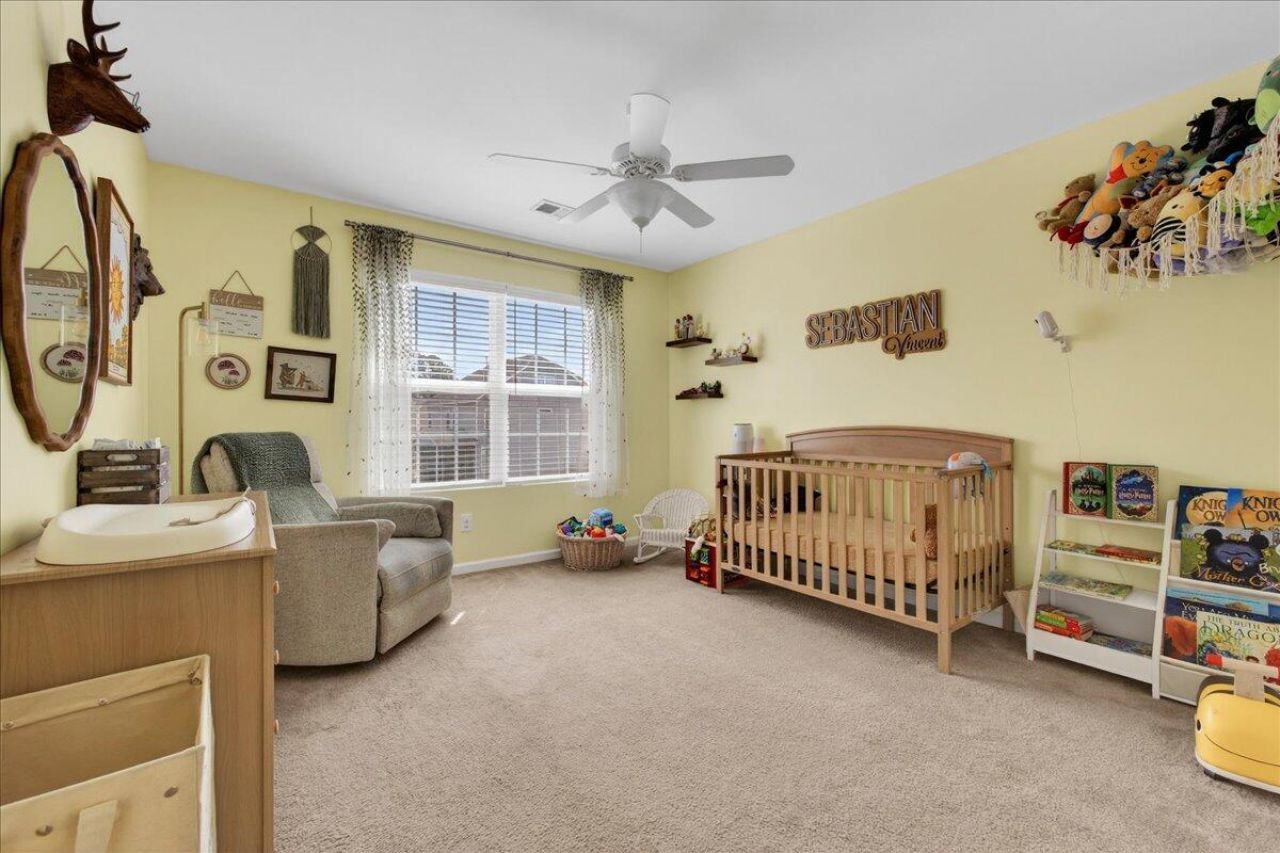 4619 Toddler Trail Photo 23