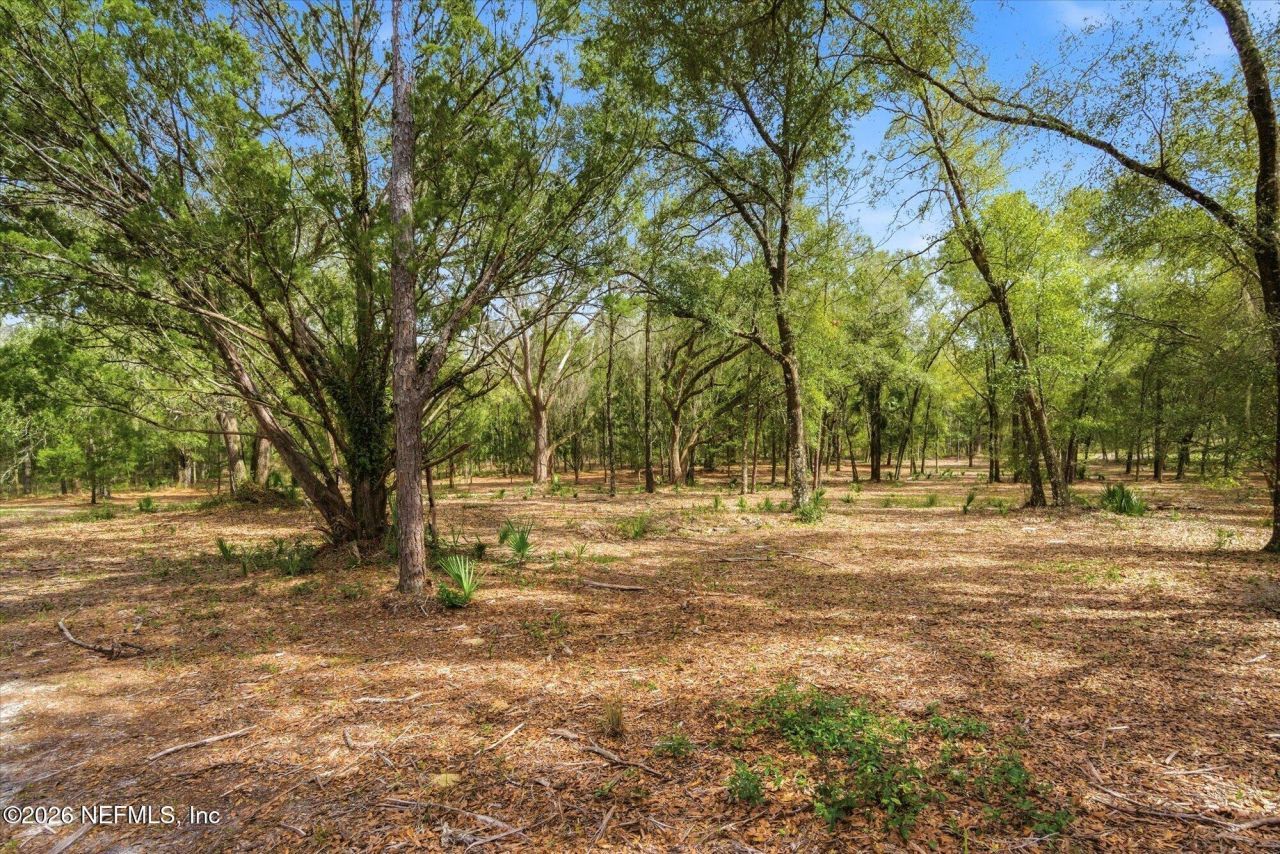 654 Old Welaka Road, Welaka, FL 32193 Photo