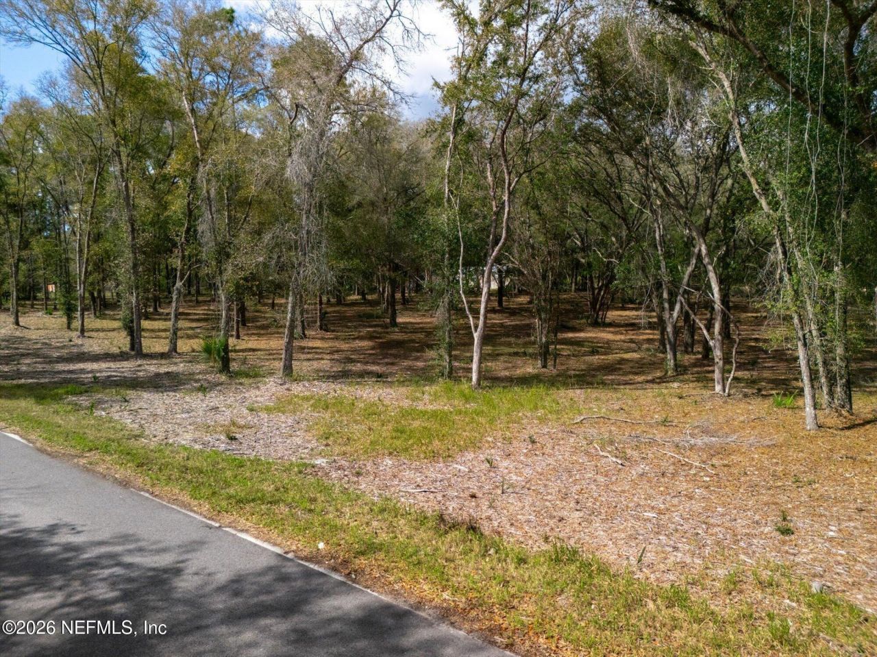 654 Old Welaka Road, Welaka, FL 32193 Photo