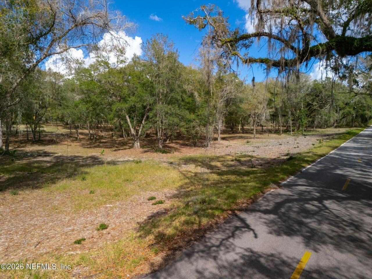 654 Old Welaka Road, Welaka, FL 32193 Photo