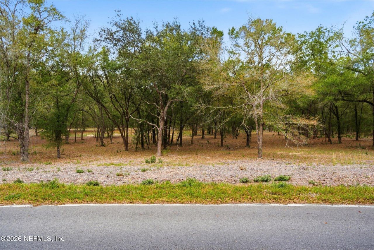 654 Old Welaka Road, Welaka, FL 32193 Photo