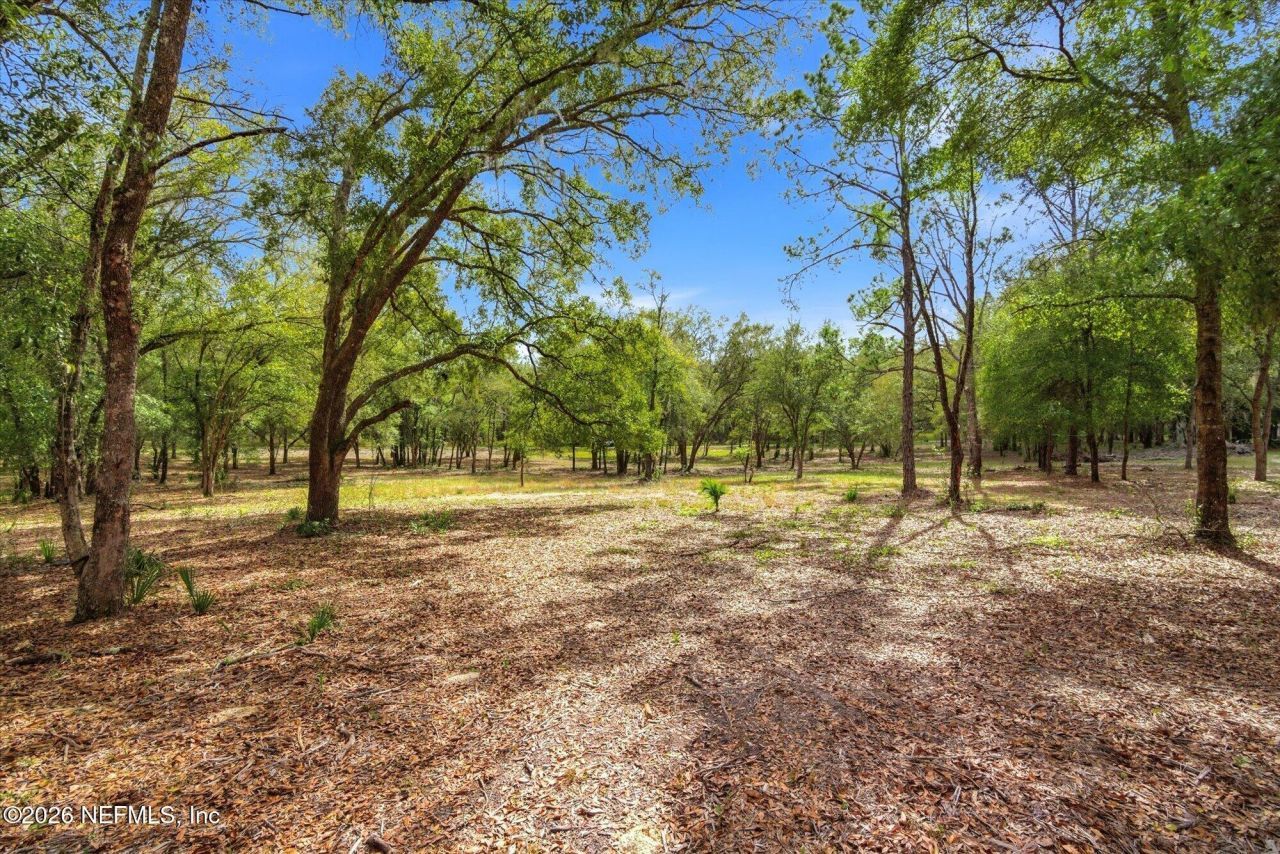 654 Old Welaka Road, Welaka, FL 32193 Photo