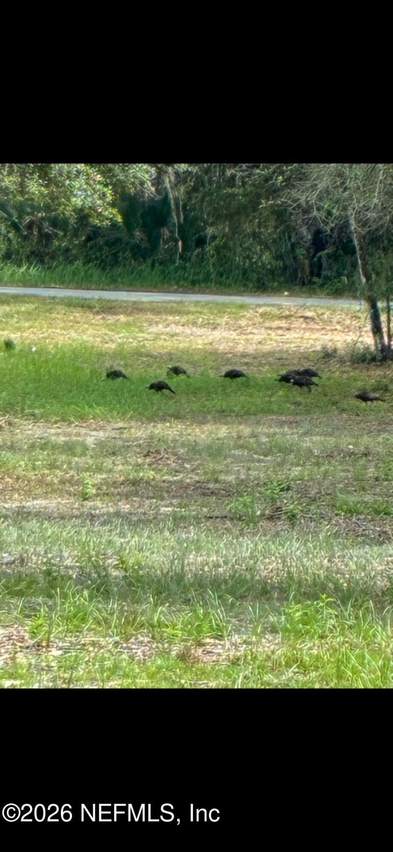 654 Old Welaka Road, Welaka, FL 32193 Photo