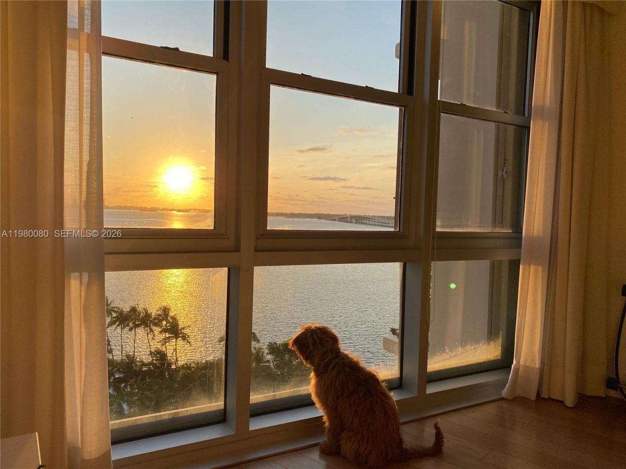 2451 Brickell Ave, Unit 11F, Miami, FL 33129 Photo