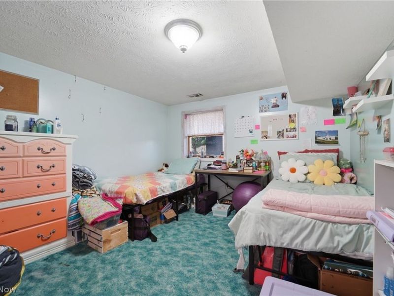 2932 Sexton Road, Geneva, OH 44041 Photo 25