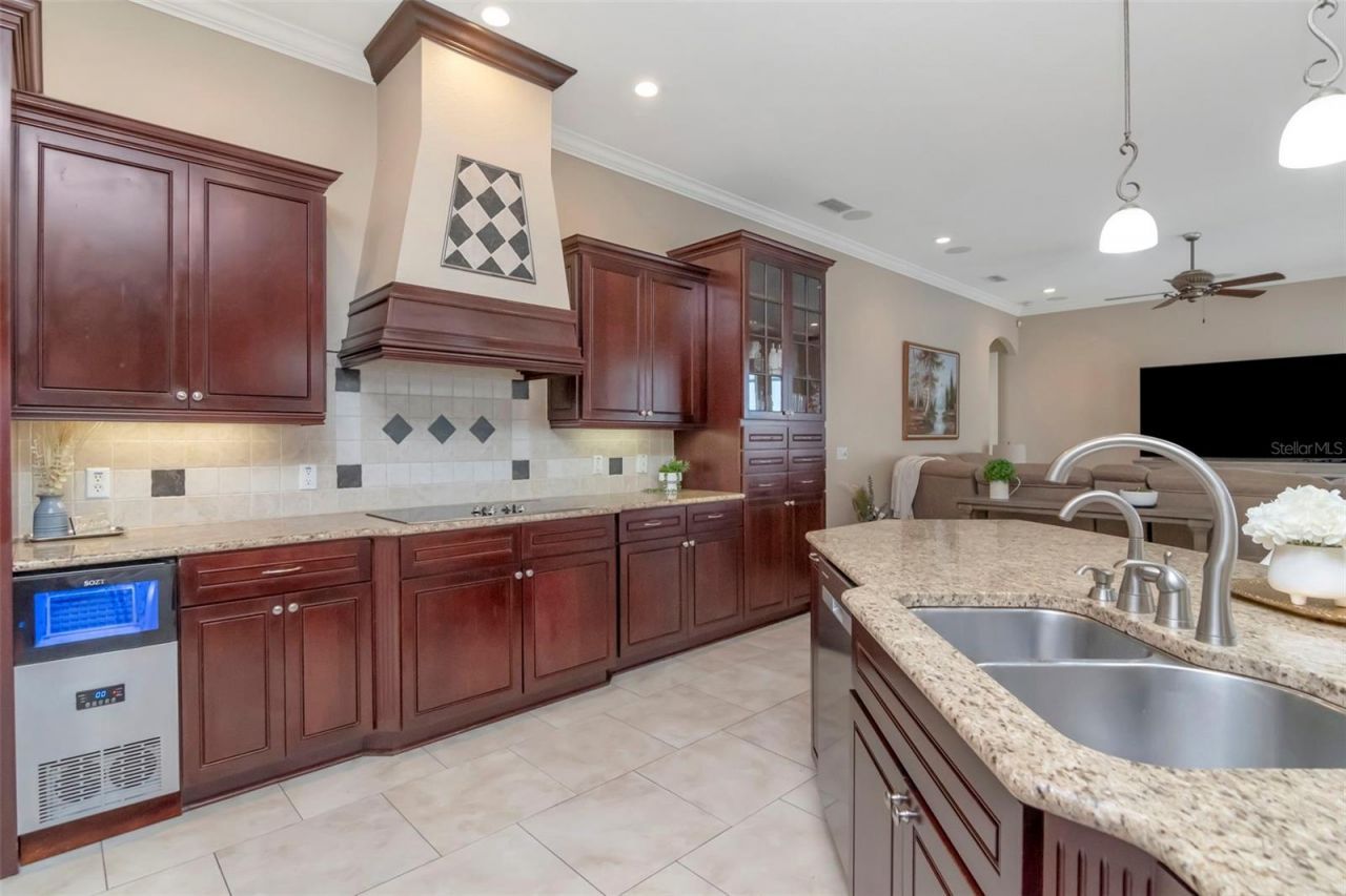 1022 Emerald Creek Drive, Valrico, FL 33596 Photo