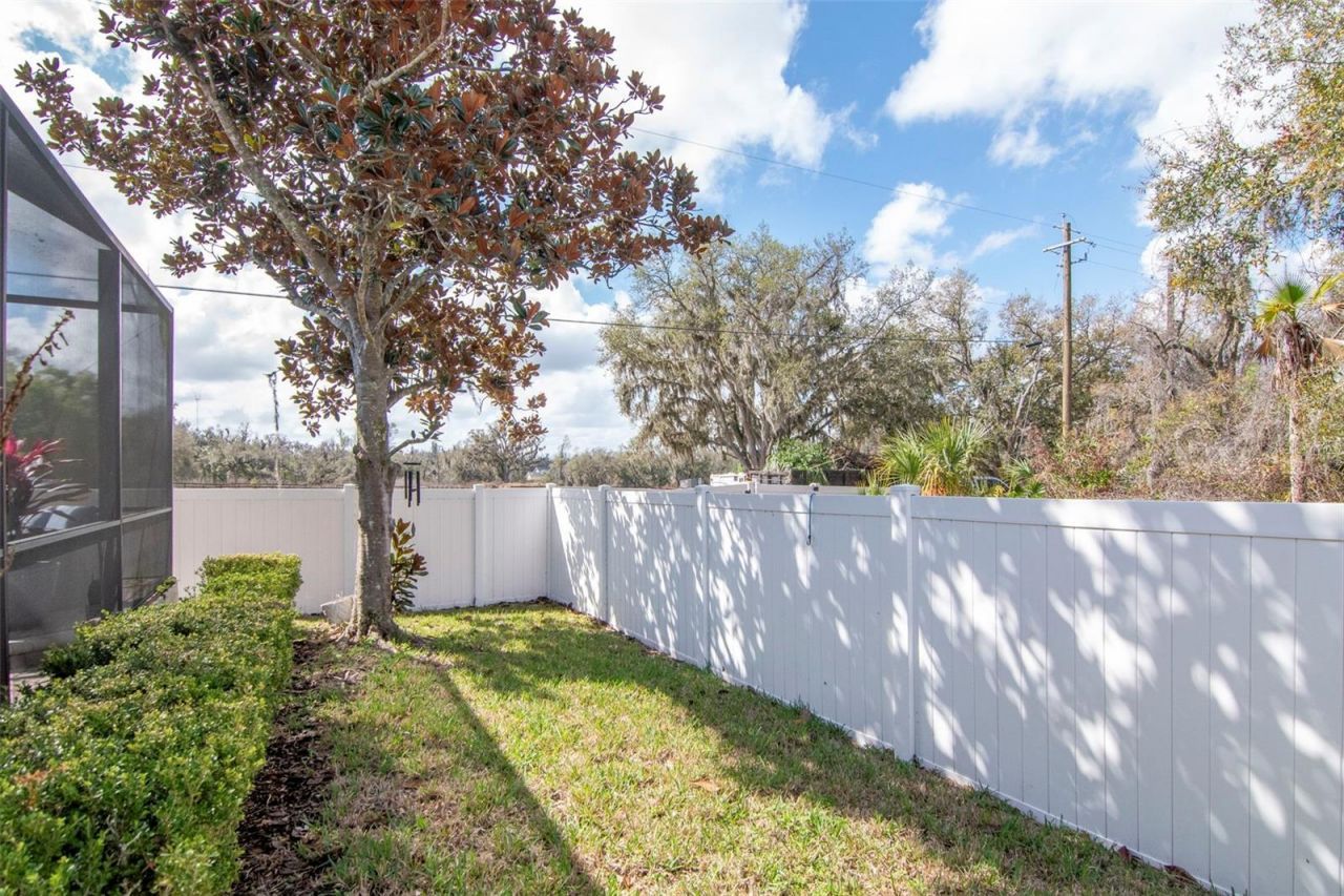 1022 Emerald Creek Drive, Valrico, FL 33596 Photo