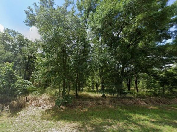 SR 40 , DUNNELLON, FL 34432