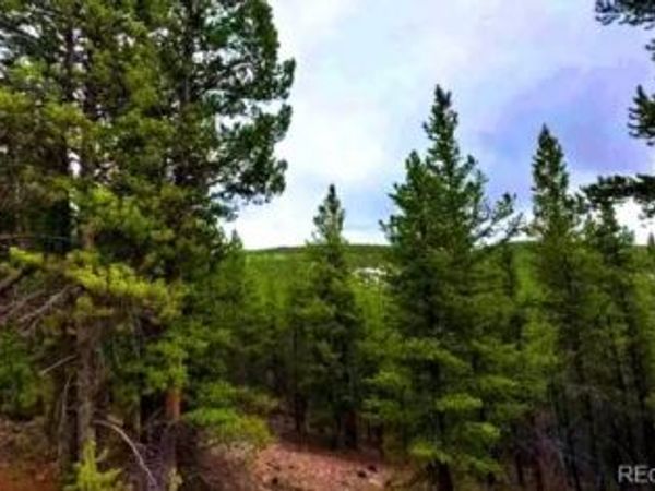 111 Forest Service Rd 752.3B, Gunnison, CO 81231