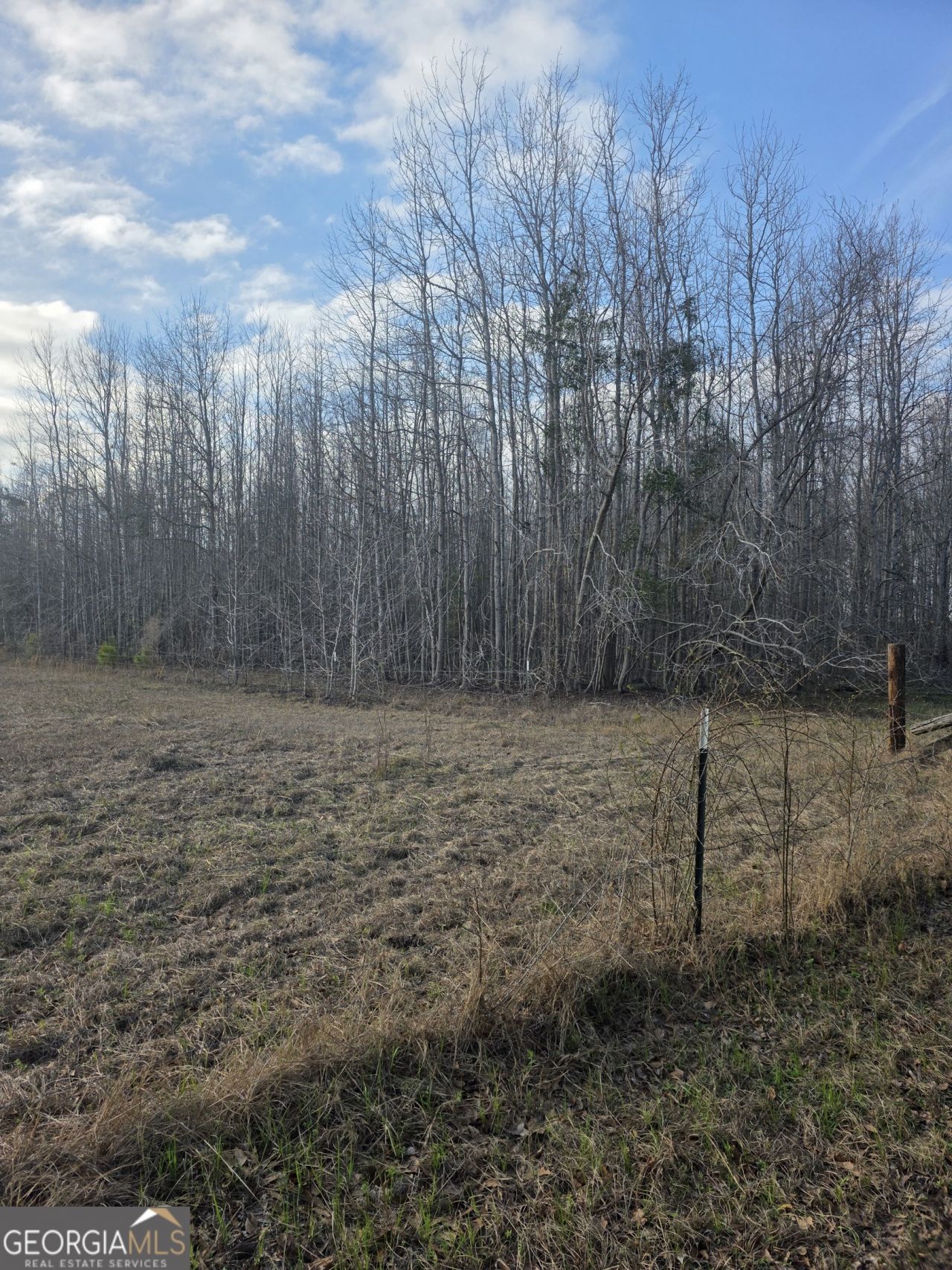 0 Perkins Greenfork Road, Millen, GA 30442 Main Photo