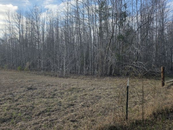 0 Perkins Greenfork Road, Millen, GA 30442