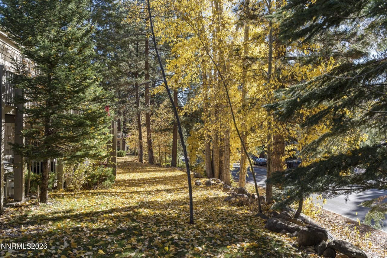 810 Alder Avenue, Unit 71, Incline Village, NV 89451 Photo