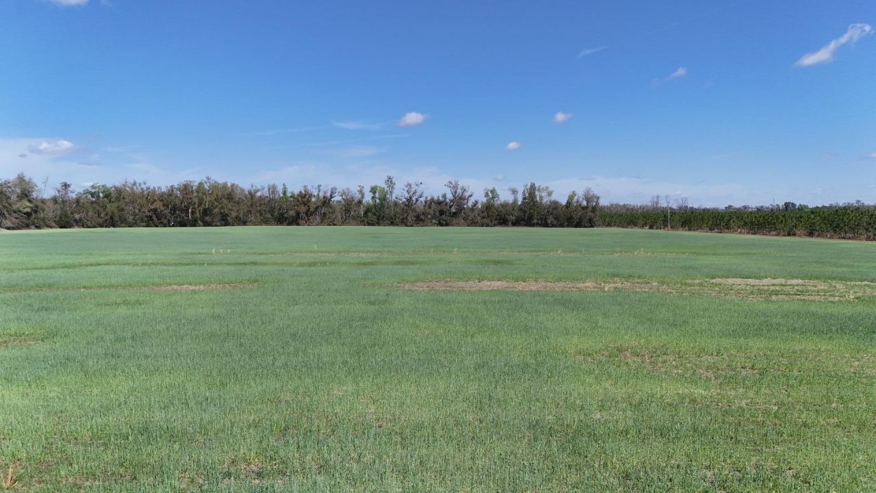 3809 SE Cr 255 , Lee, FL 32059 Photo