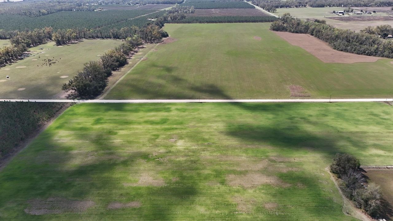 3809 SE Cr 255 , Lee, FL 32059 Photo