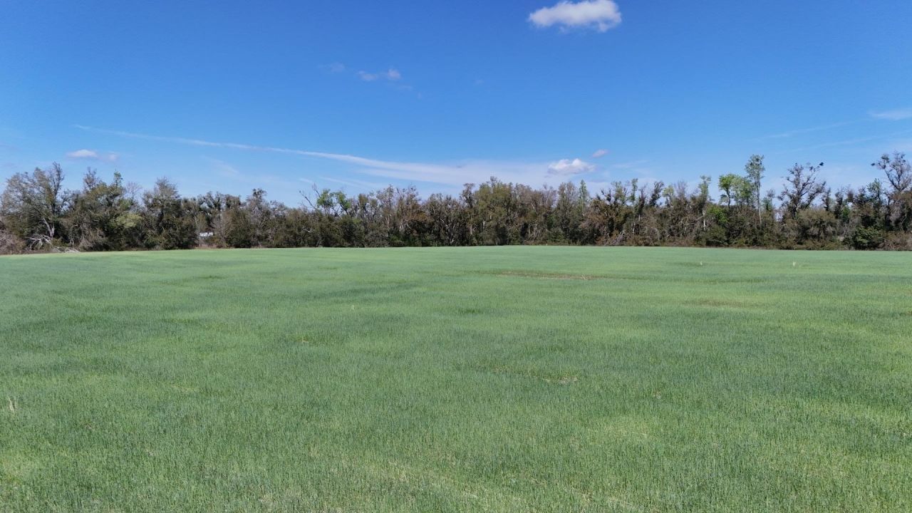 3809 SE Cr 255 , Lee, FL 32059 Photo