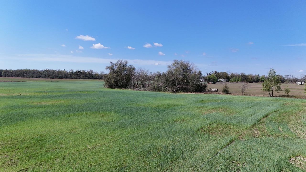 3809 SE Cr 255 , Lee, FL 32059 Photo