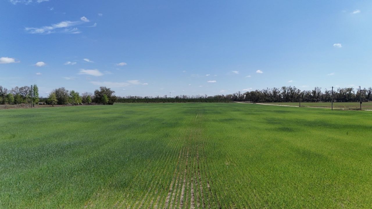 3809 SE Cr 255 , Lee, FL 32059 Photo