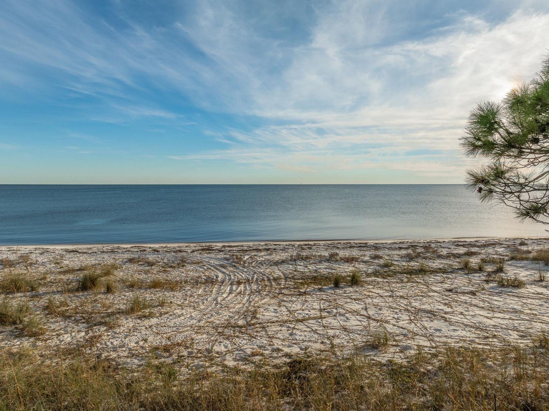 1187 Alligator Drive, Alligator Point, FL 32346 Photo