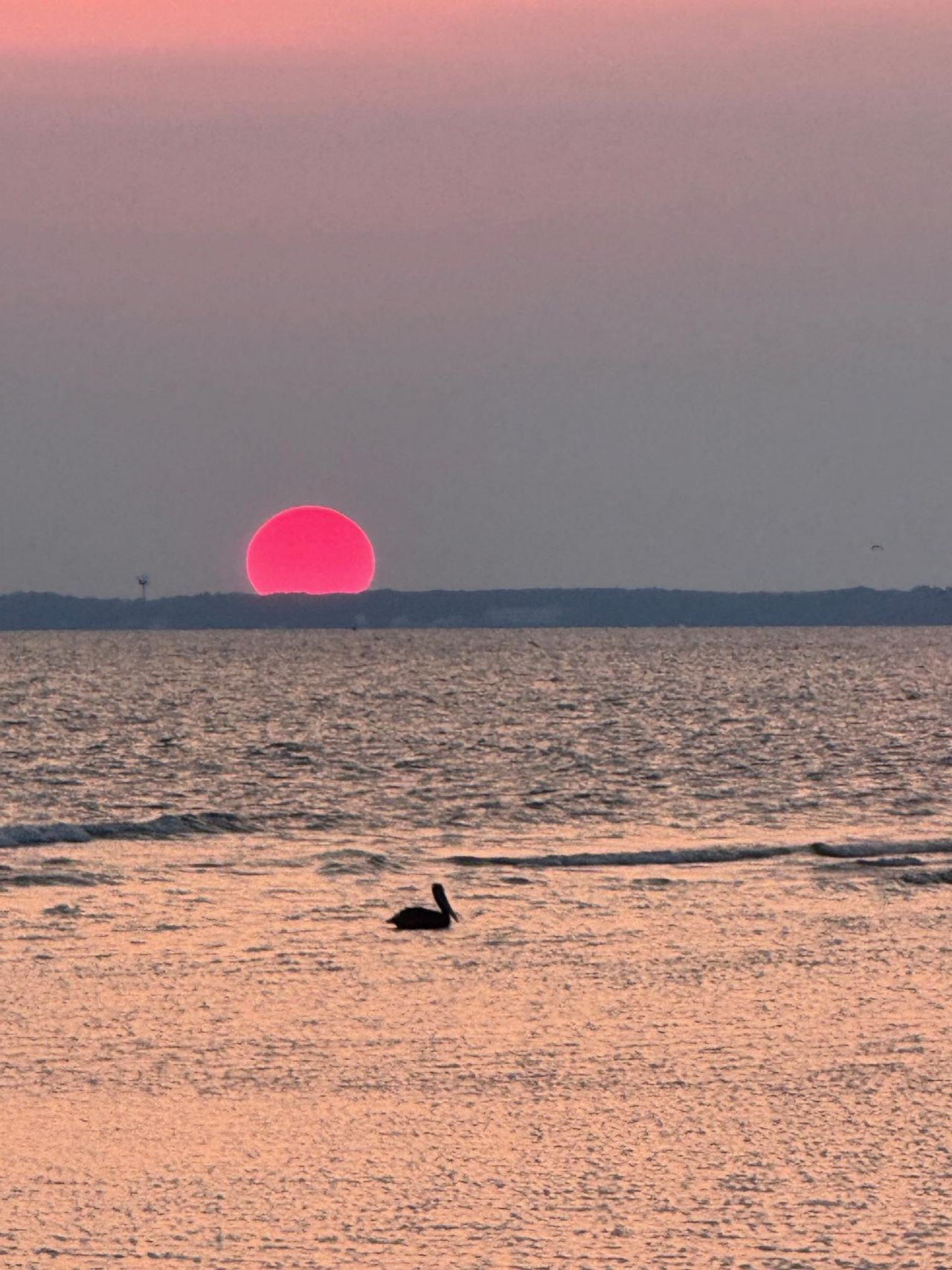 1187 Alligator Drive , Alligator Point, FL 32346 Photo