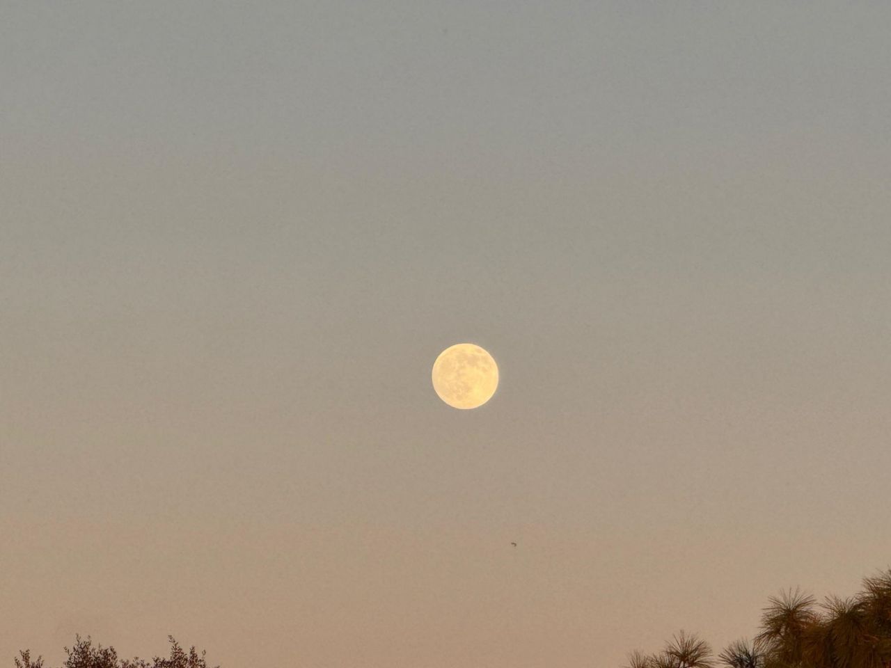 1187 Alligator Drive , Alligator Point, FL 32346 Photo