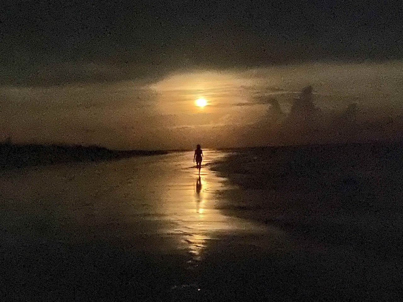 1187 Alligator Drive , Alligator Point, FL 32346 Photo