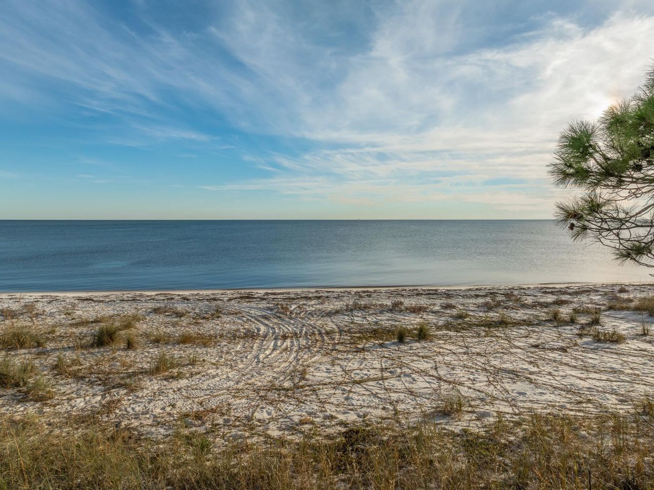 1187 Alligator Drive , Alligator Point, FL 32346 Photo